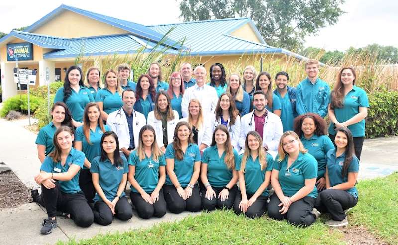 veterinario cerca de mi en Tampa